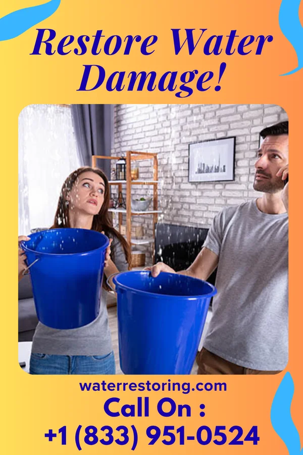 water restoration Pinnacle Flood Contractors Pleasureville