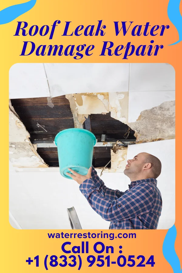 Roof Leak Water Damage Repair in Pleasureville, PA