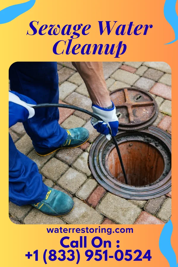 Sewage Water Cleanup in Pleasureville, PA